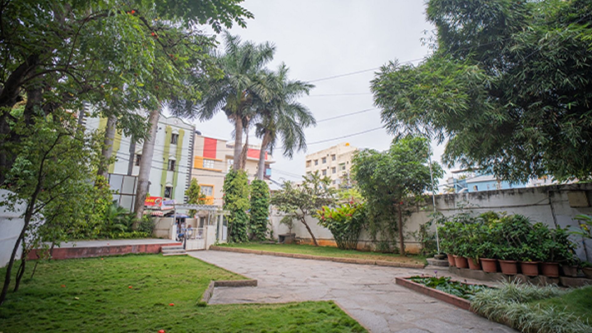 /uploads/banner_images/-7452666.jpeg